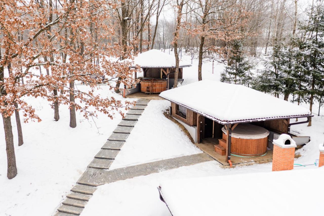 Transylvanian Relax House Lupeni  ภายนอก รูปภาพ