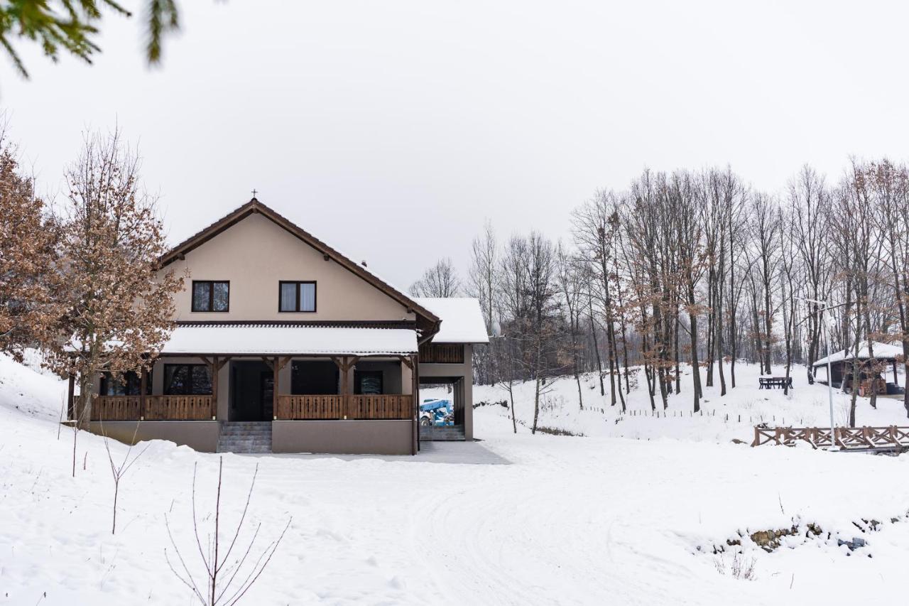 Transylvanian Relax House Lupeni  ภายนอก รูปภาพ