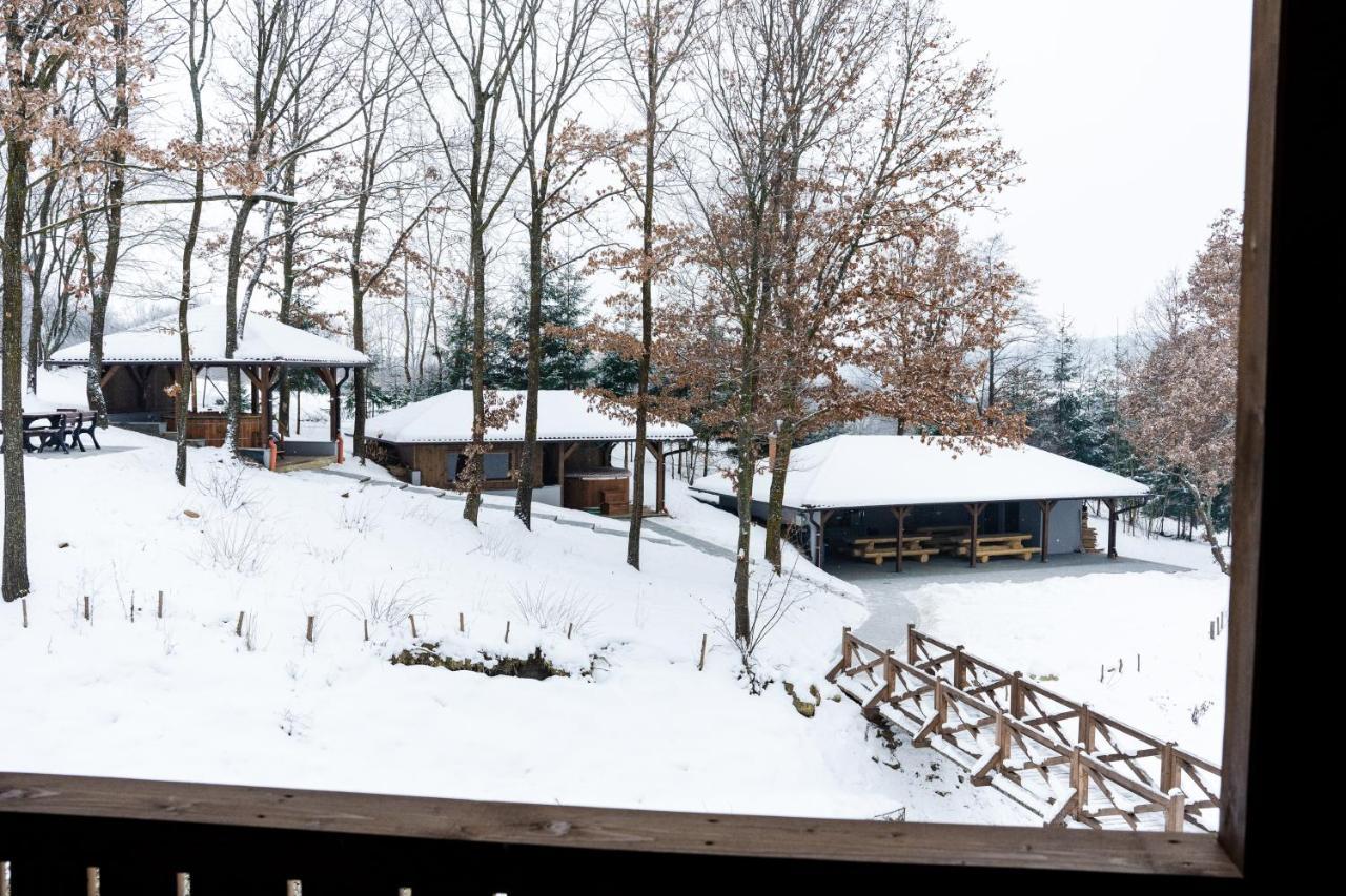 Transylvanian Relax House Lupeni  ภายนอก รูปภาพ
